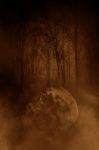 Human Skull In Haunted Forest,horror Concept Background Stock Photo