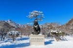 Seoraksan, Korea - February 7: Seoraksan National Park In Winter Location On Gangwon, South Korea On February 7, 2016 Stock Photo