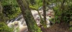 Newell Creek In Tasmania Stock Photo