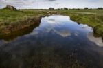 Spring Countryside Water Stream Landscape Stock Photo