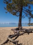 Landscape Of Lake Tahoe Stock Photo