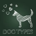 Dog Types Represents Category Classes And Pedigree Stock Photo