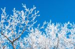 Landscape In Winter,deogyusan In Korea Stock Photo