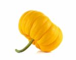 Pumpkin Isolated On The White Background Stock Photo