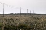 Electricity Wire On A Field Stock Photo