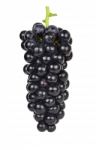 Black Grape Isolated On The White Background Stock Photo