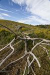 Rural Countryside Stock Photo