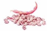 Borlotti Beans Stock Photo