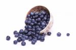 Tasty Blueberries Stock Photo