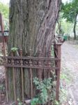 Crosses On Graves Cemetery And Fences   Stock Photo