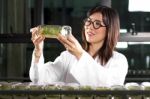 Botanist Checking Plant Bottle Stock Photo