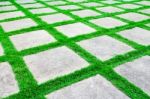 Green Grass Growth Between Cement Walkway Stock Photo