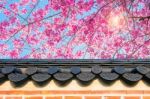 Cherry Blossom With Roof Of Temple In Spring Stock Photo