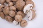 Mushrooms On A White Background Wet Stock Photo