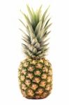 Pineapple Stock Photo