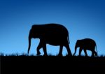 Abstract Of Elephant Family Stock Photo