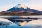 Snow Capped Parinacota Volcano Reflected In Lake Chungara, Chile Stock Photo