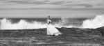 Bride At Snapper Rock Beach In New South Wales Stock Photo