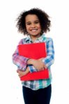 Smiling Schoolgirl Holding A Book Stock Photo