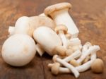 Fresh Wild Mushrooms Stock Photo