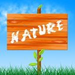 Nature Natural Shows Rural Tree And Trees Stock Photo