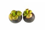 Mangosteen Stock Photo