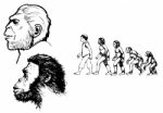 Human Evolution Stock Photo