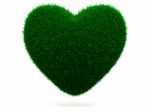 Grass Heart Stock Photo