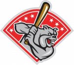 Bulldog Baseball Hitter Batting Cartoon Stock Photo