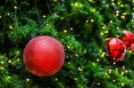 Decorated Christmas Tree With Electric Light And Christmas Balls Stock Photo