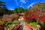 Autumn Leaves At Daigoji Temple In Kyoto Stock Photo