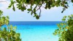 Beautiful Blue Sea At Koh Miang In Mu Koh Similan, Thailand Stock Photo