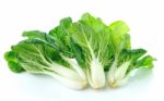 Pok Choi On White Background Stock Photo