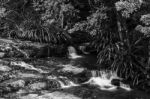 Twin Falls Waterfall Located In Springbrook National Park Stock Photo