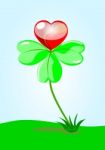 Four Leaf Clover Stock Photo