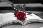 Open Book And A Red Rose. Vintage Tone Stock Photo