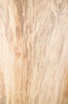 Classic Old Wooden Texture Background Stock Photo