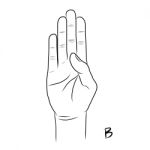 Sign Language And The Alphabet,the Letter B Stock Photo