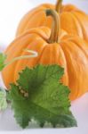 Pumpkin On The White Background Stock Photo