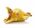 Boiled Chicken On A White Background Stock Photo