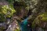 Looking Into Avalanche Creek Stock Photo