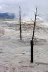 View Of Mammoth Hot Springs Stock Photo