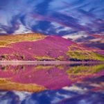 Colorful Landscape Scenery Of Pentland Hills Slope Covered By Pu Stock Photo