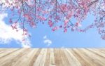 Wood Table And Beautiful Of Pink Flowers Cherry Blossom Stock Photo