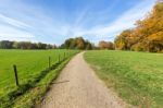 Sandy Path Between Green Meadows With Autumn Colors Stock Photo