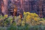 Pulpit Rock Zion National Park Stock Photo