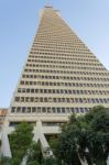 Transamerica Pyramid Stock Photo