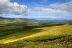 Countryside On Dingle Peninsula Stock Photo