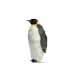 Penguin Abstract Stock Photo