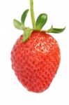 Strawberry Isolated Stock Photo